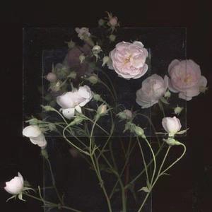 白俄罗斯18岁美女抠逼老板性感抠逼逼大白屁股pp
